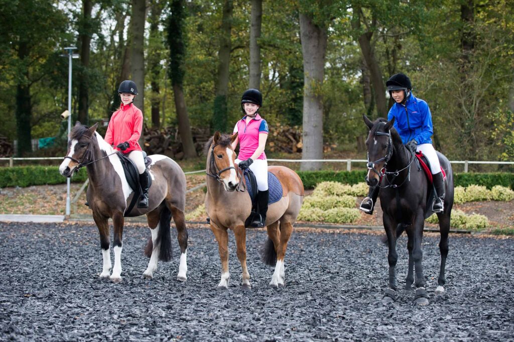 Championnat Du Maroc Equiplay (pony-games/10 Ans Et Plus): Le Cercle Amical Français De Casablanca Sacré