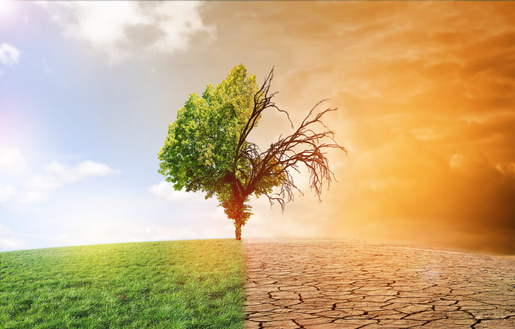 Chambre Des Représentants : La Lutte Contre Les Effets Du Changement Climatique Au Maroc En Débat