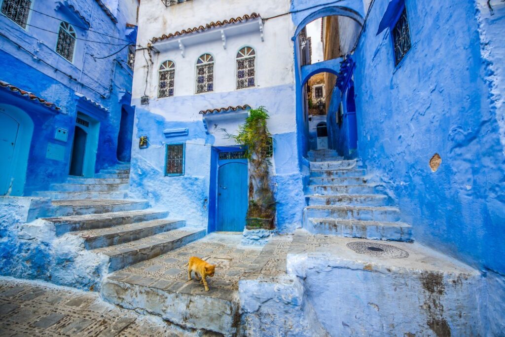 Province De Chefchaouen: Inauguration Et Lancement De Plusieurs Projets De Développement Agricole Et Rural