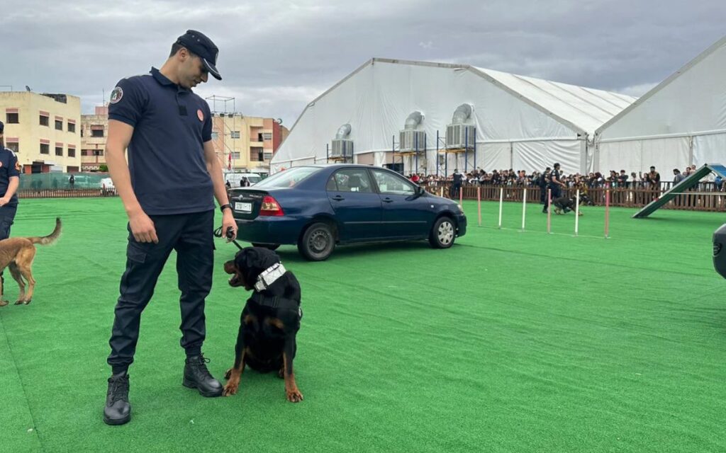 La 53ème Revue De Police Braque Les Projecteurs Sur L’action De La Police Cynotechnique